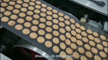 Skywin small soft biscuit production line with 12m gas oven to Pakistan