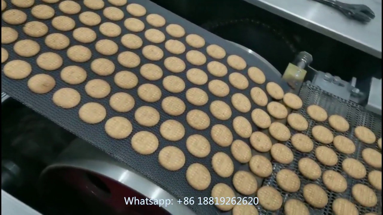 Skywin small soft biscuit production line with 12m gas oven to Pakistan