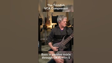 Trickfish Amplification VCA Compressor on Bass (Harmonics) - Bass Gear Magazine