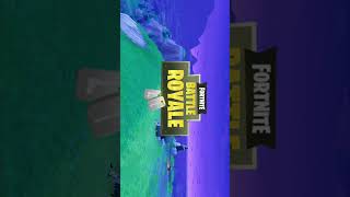 The Beauty Of Fortnite Read Desc. For Background