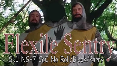 Flexile Sentry SL1 NG+7 CoC No Roll/Block/Parry [Flawless]