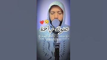 صوته راحة 😴❤️ تلاوة هادئة تأخذك إلى عالم آخر