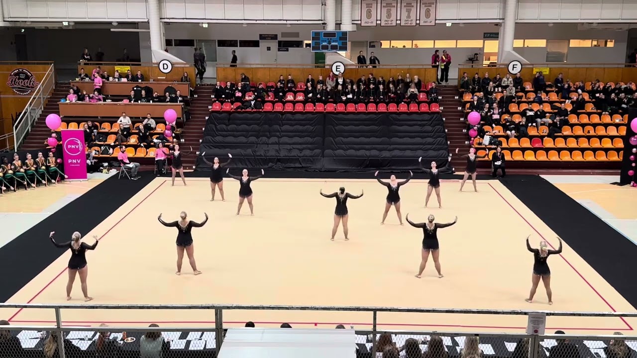 Novice Very Senior - Elise, PNV Cup 16.11.25, yli 25v Harraste 