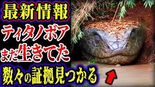 Download Lagu 【ゆっくり解説】やはりティタノボアは生きていた…!! 生存を裏付ける数々の証拠が見つかる…ヤバい、ヤバすぎる…!!!【UMA・未確認生物】 MP3