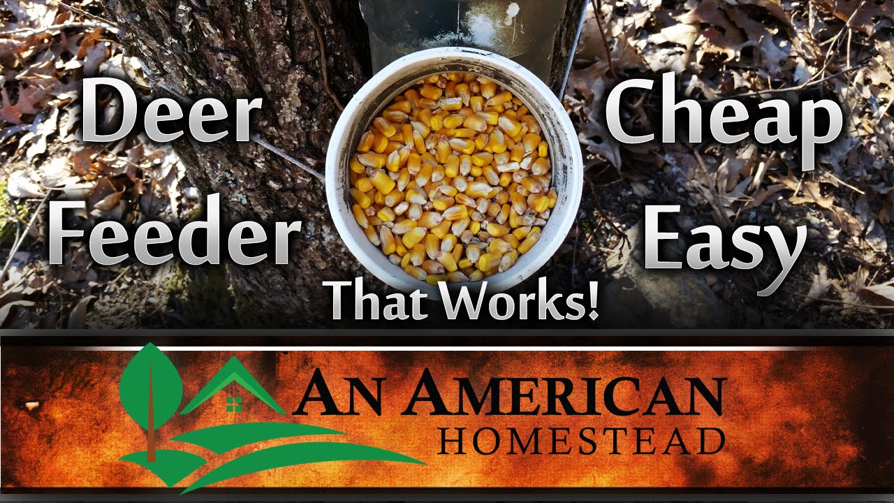 Deer Feeder M14 Forum