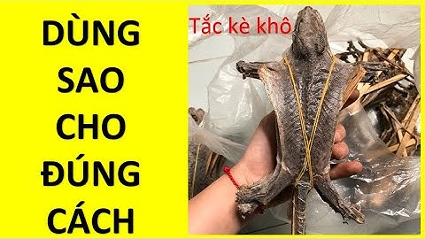 Cách dùng Tắc kè khô đúng chuẩn để có hiệu quả cao - HM Nature - 0982403110 (Zalo)