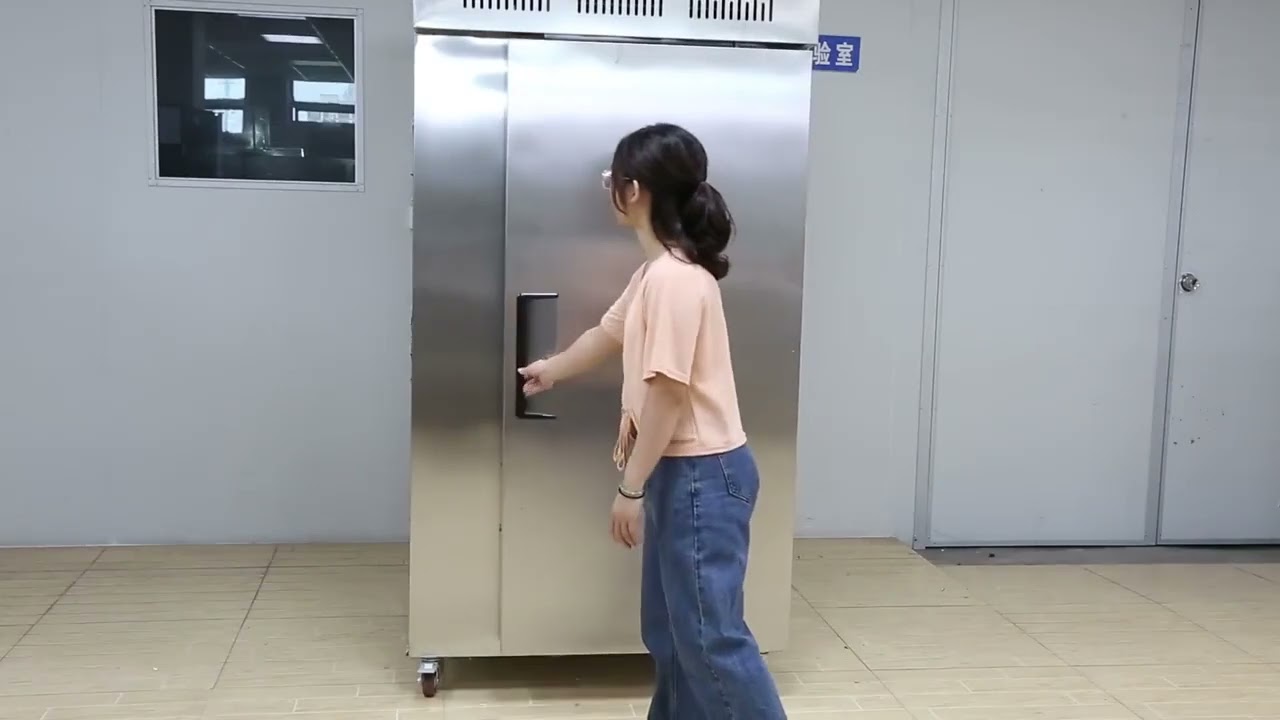 500L Chicken Tray Blast Freezer | Ramp-Access & Lockable Trolley Test