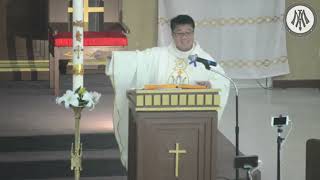 HOMILY - Good Shepherd Sunday