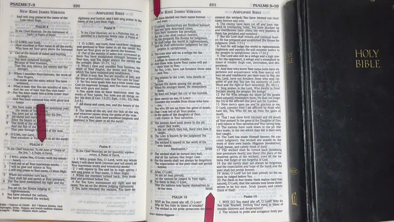 Your DAILY BREAD: THE BIBLE 01/09/26 Pom 9, Proverbs 9, Matthew 11, Genesis 17:1-