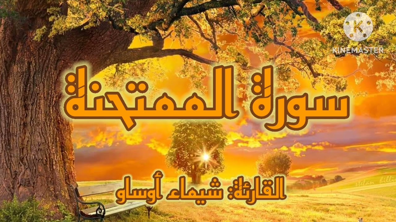 سورة الممتحنة برواية ورش عن نافع-القارئة شيماء أوساو¦Surat Al-Mumtahanah by Chaimaa Oussaou