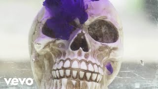 Petrixxx - Não Fala Mal (feat. Wicked record) (Official Music Video)