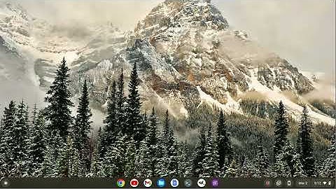 Starting With a FRESH Install of Pulsar ... on a Chromebook!
