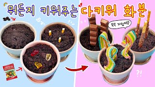 Strange Role Play :) Plant and Grow Everything with "Grow Everything Flowerpot"🌱