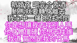 新婚夜，喝完合卺酒，駙馬就要轉身離去，我心中一痛，抱住他問，你是想讓我去找別人嗎，他身體僵硬，你想去找誰，我道，當然是我的竹馬【幸福人生】