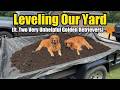 Leveling Our Yard with Topsoil (ft. Two Very Unhelpful Golden Retrievers)