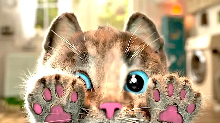 Animated Little Kitten friends Adventure 😻 Preschool and kindergarten learning Cartoon for childrens