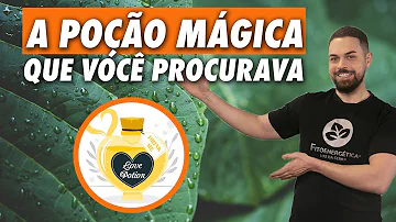 O que o mito da caverna tem a ver com a nossa realidade?