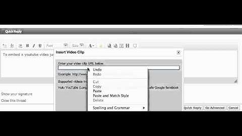 Embed youtube on Vbulletin