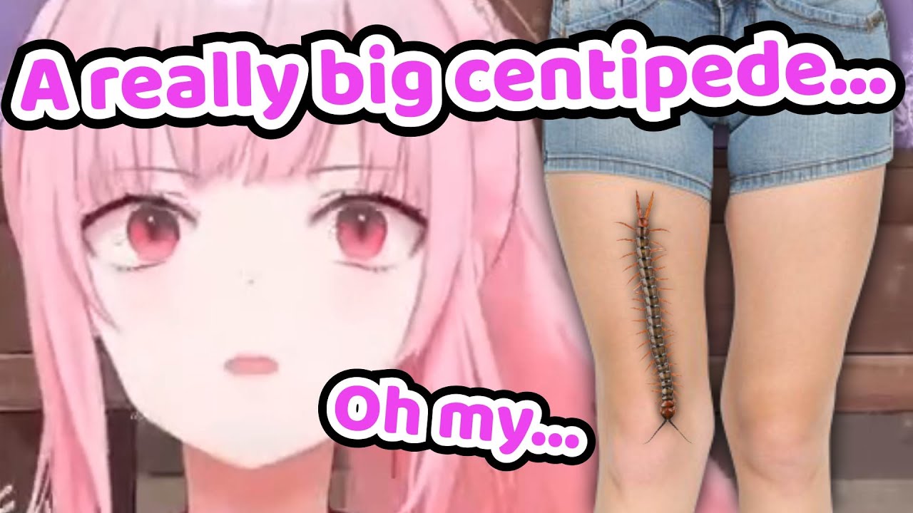 That Time When a Centipede Crawled Up on Calli's Friend's Leg【Hololive EN】