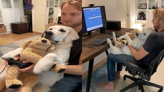 Dad Plays Video Games With His Dog