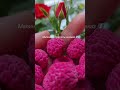 малиновые браслеты из полимерной глины .ставь + в комментарии дам ссылку на каталог .#ручнаяработа