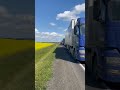 Горчичное поле