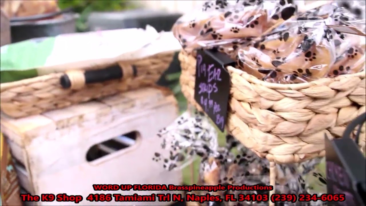 The K9 Shop: Shop Raw Dog Food & Pet Supplies Naples Florida USA