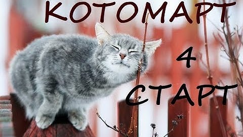КОТОМАРТ 4-й старт!
