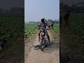 New trap to steal with fake legs disguised as two boys