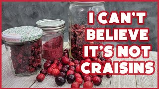 DIY Craisins - How to Dehydrate Cranberries and make Cranberry Powder
