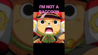 "I'M NOT A RACCOON" #OP1023 #onepiece1023 #onepiece #chopper #op #onepieceanime