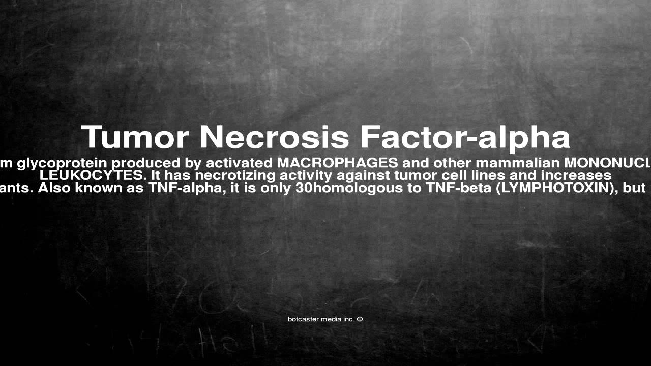 Medical vocabulary What does Tumor Necrosis Factoralpha mean YouTube