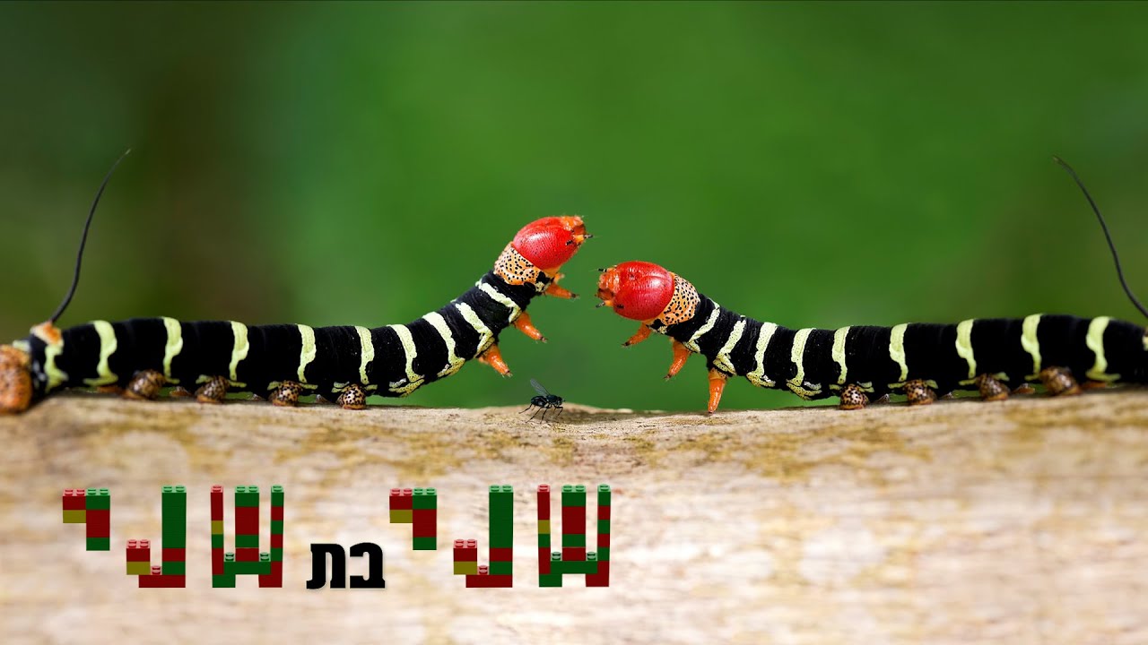טראנס שני התולעת 3 [שני בת שני] (Prod By Efi_potolski)