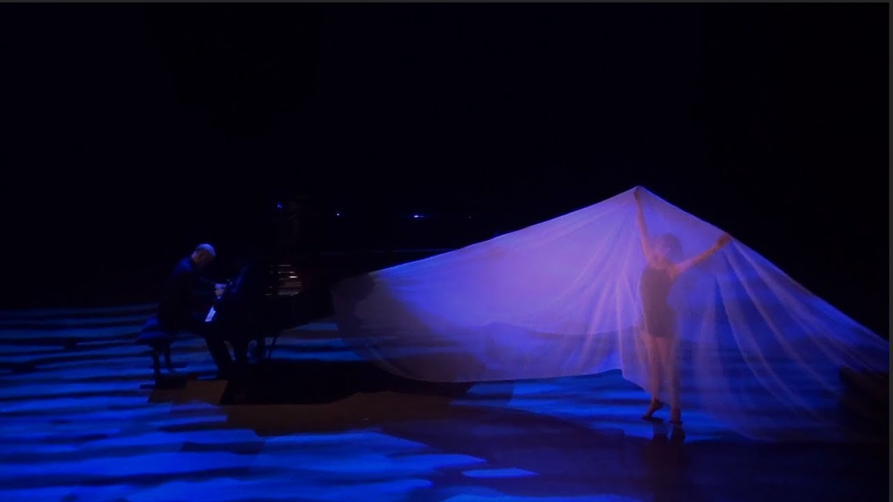 MESSIAEN "Le courlis cendré"