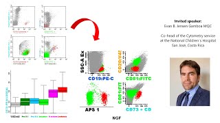 40 years of MRD. A review of flow cytometry as an advanced technique for B-ALL monitoring