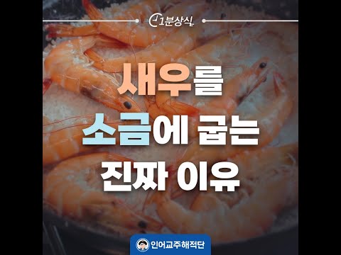 &amp;quot;소금&amp;quot; 깔고 새우 굽는 진짜 이유