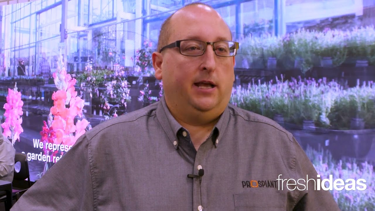 Turnkey Greenhouse Solutions for Every Industry