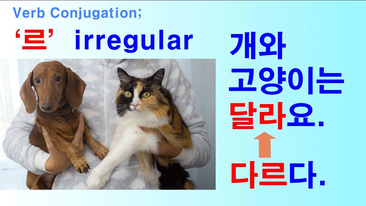 Korean Grammar 61: Verb conjugation, ‘르’ irregular; 다르다. 빠르다. 기르다. 마르다. 자르다. 흐르다.