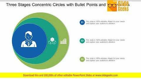 Three Stages Concentric Circles With Bullet Points And Text Holders Ppt Powerpoint Presentation Icon