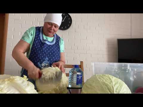 Video: Толтурулган капуста тоголокторун эт менен кантип бышыруу керек