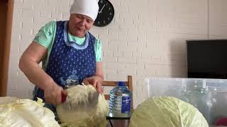 картинка: Тонкости квашения белокочанной капусты (часть 1)