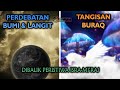 Debat Bumi VS Langit dan Tangisan Buraq (Dibalik Peristiwa Isra Mi'raj)