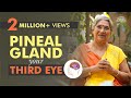 Take Care of your Pineal Gland by doing this | Dr. Hansaji Yogendra