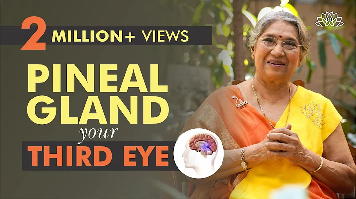 Take Care of your Pineal Gland by doing this | Dr. Hansaji Yogendra - DayDayNews