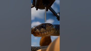 Advanced Drone  captures  snakes  with needle machine.#sharp  #Drohne #Schlange #ドローン #ヘビ