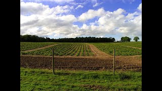Land Preservation Through Purchase of Land Development Rights