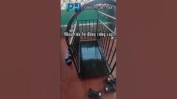 Cân sàn điện tử B19S 500kg 1 tấn 0.8x1.2m cân động vật thương hiệu Amcell USA