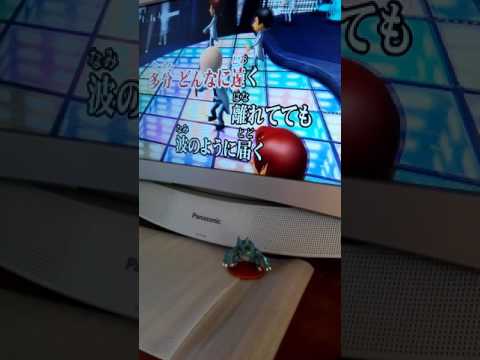オカ　迷宮ラブソング