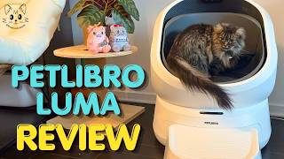 Testing the Petlibro Luma Litterbox With 5 Cats