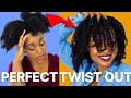 How To Get The PERFECT Twist Out on Type 4 Hair | No Heat Natural Hairstyles